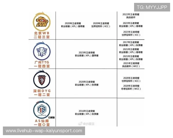 战队年度关键词盘点展示品牌核心价值，战队牌子