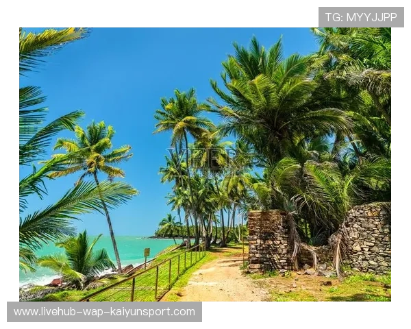 法属圭亚那华人体育文化交流活动丰富,法属圭亚那有多少华人 法属圭亚那华人体育文化交流活动丰富,法属圭亚那有多少华人